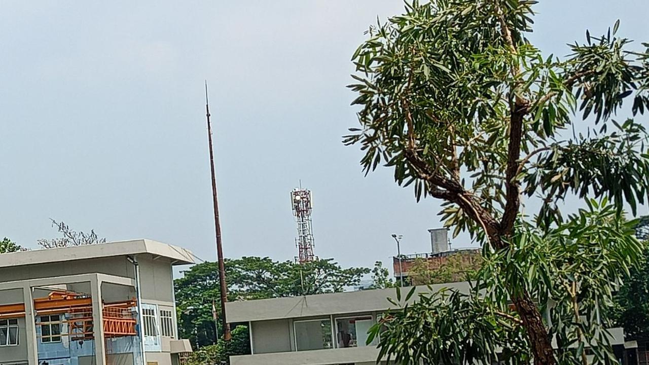 Mendatangi Lokasi Chris Martin Vokalis Coldplay 'Nyeker' dan Jogging Santai di Waduk Setiabudi