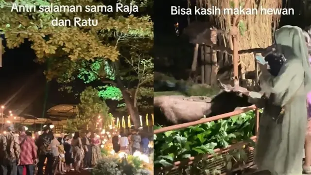 Viral Pernikahan di Kebun Binatang Gembira Loka, Tamu Dijemput Perahu dan Bisa Kasih Makan Hewan