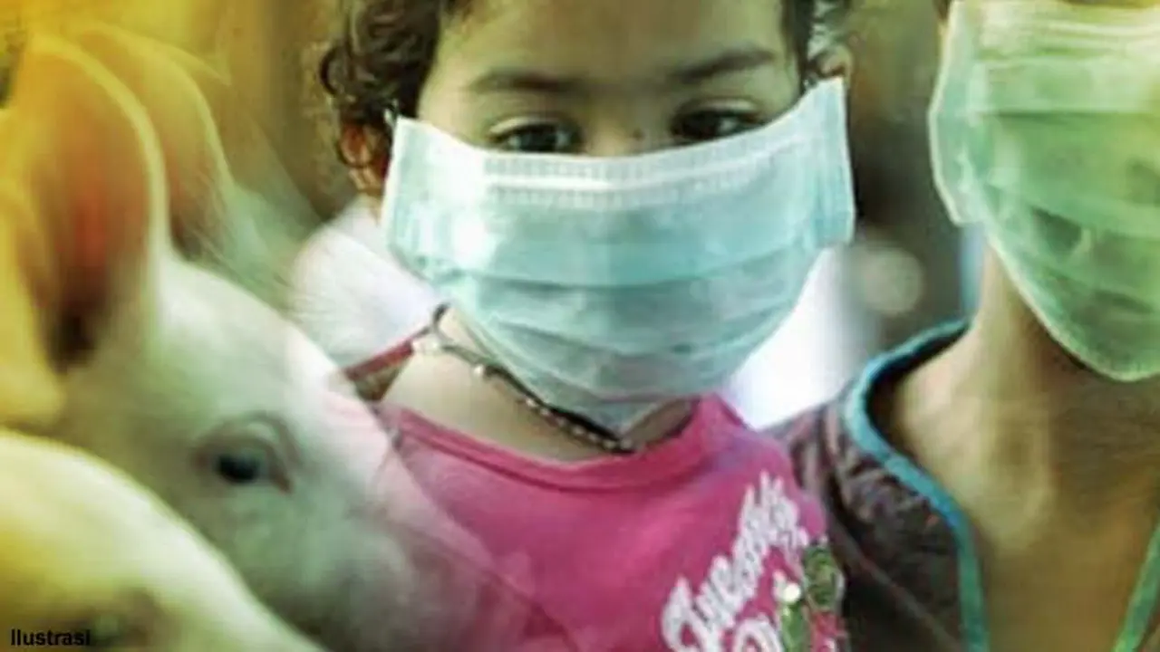 Flu Babi 5 (Liputan6.com/M.Iqbal)