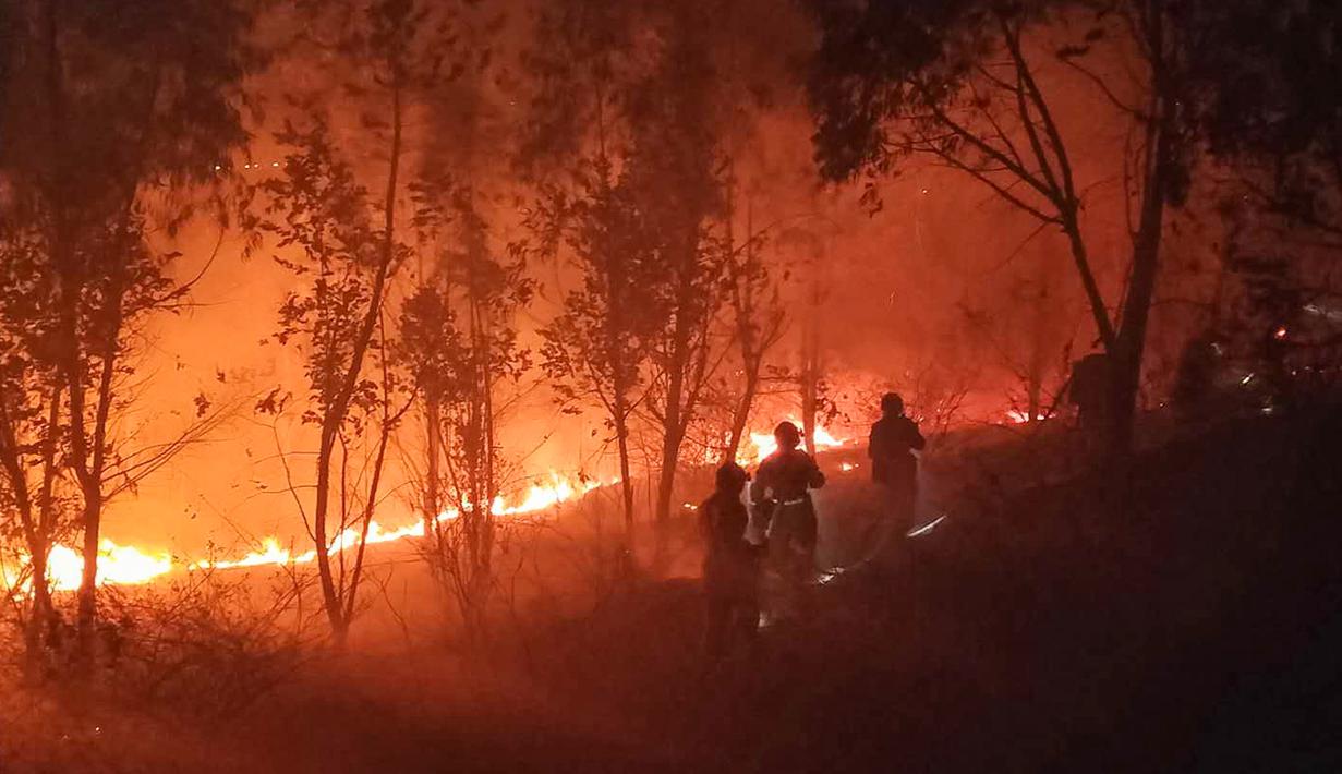 Foto Kebakaran Hutan Landa China