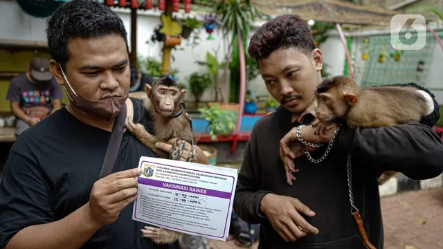 Vaksinasi Rabies untuk Hewan Peliharaan