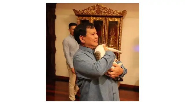 Potret Kedekatan Antara Prabowo dengan Bobby Si Kucing Kesayangan