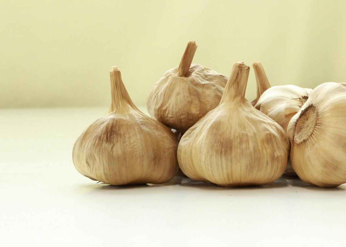 Ilustrasi black garlic