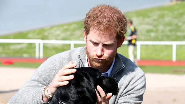 [Bintang] Pangeran Harry