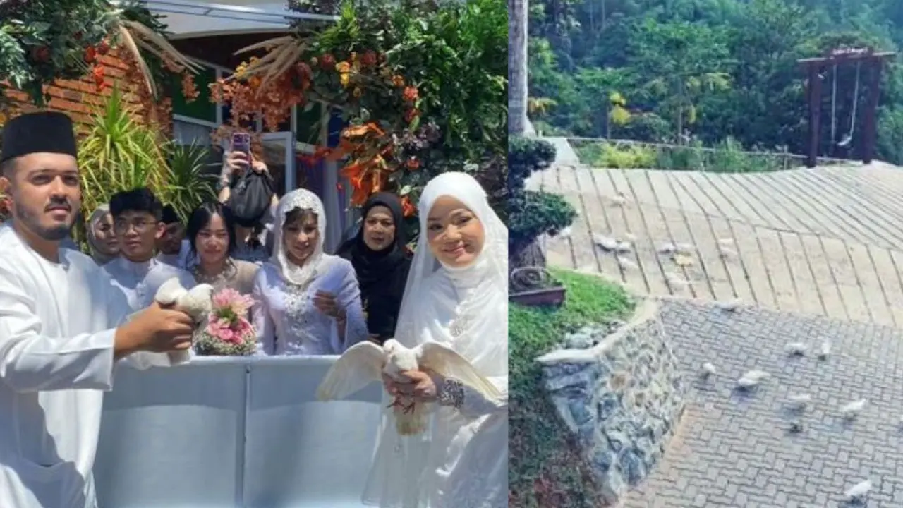 Pengantin melepas 50 ekor burung merpati hingga membuat kotor tempat pernikahan karena kotoran burung di mana-mana