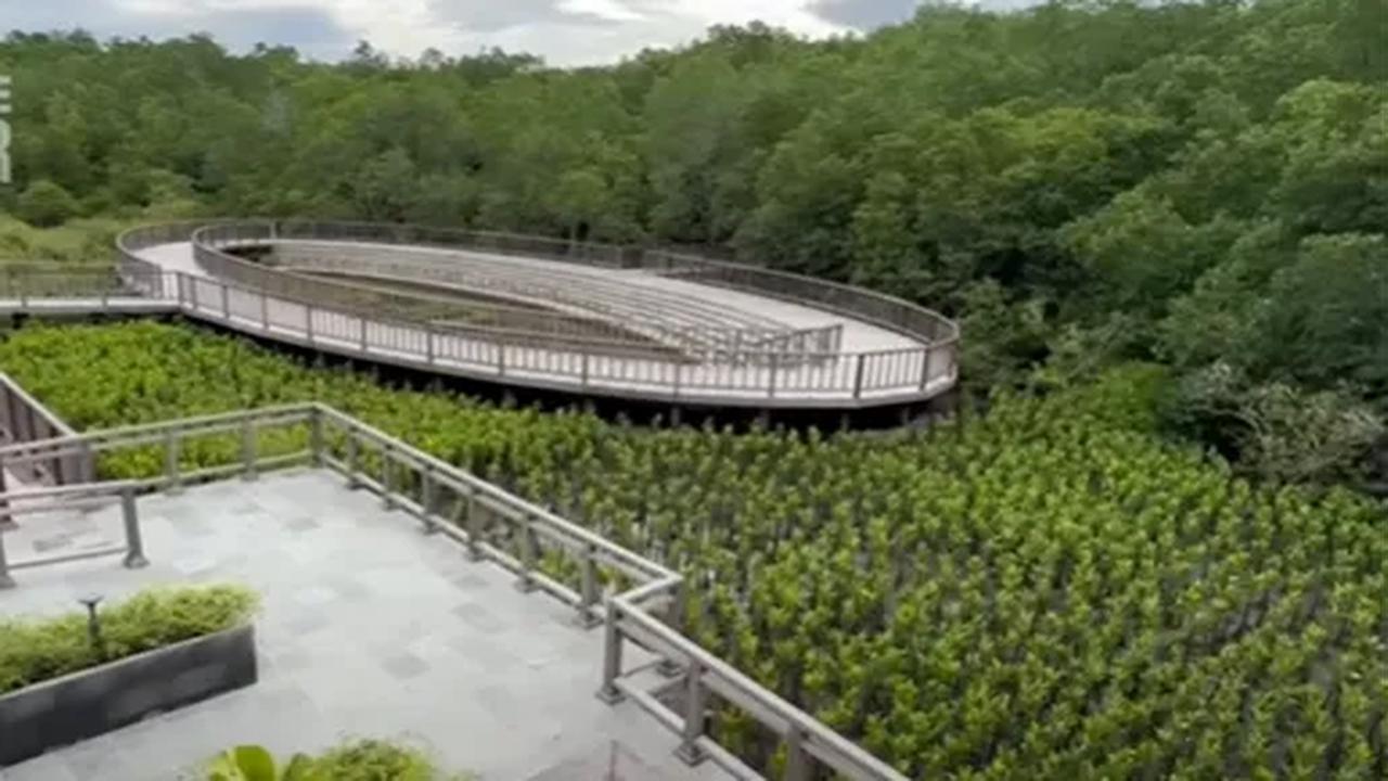 Adapun jumlah bibit mangrove yang ditanam ditargetkan mencapai 1.000 bibit yang akan diserahkan kepada pengelola pesisir PIP Makassar.