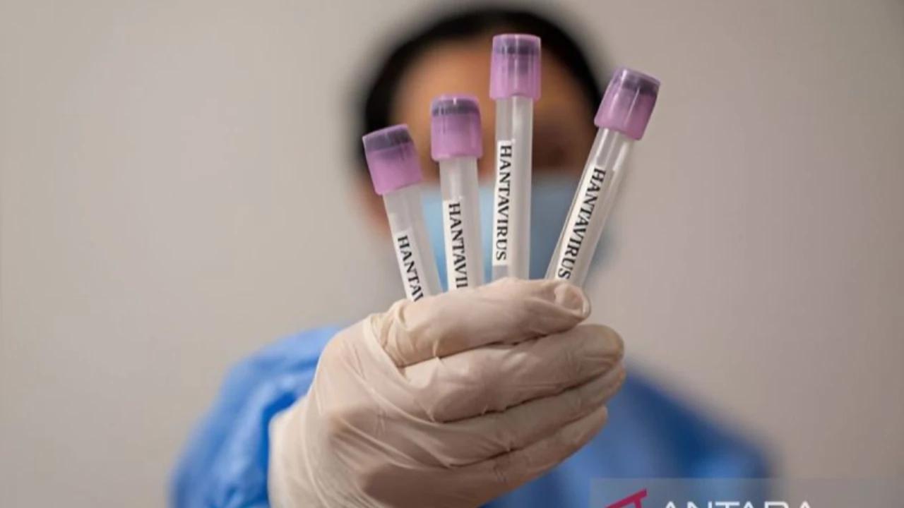 Dinkes DKI Temukan 3 Kasus Positif Hantavirus, 6 Suspek Masih Dipantau