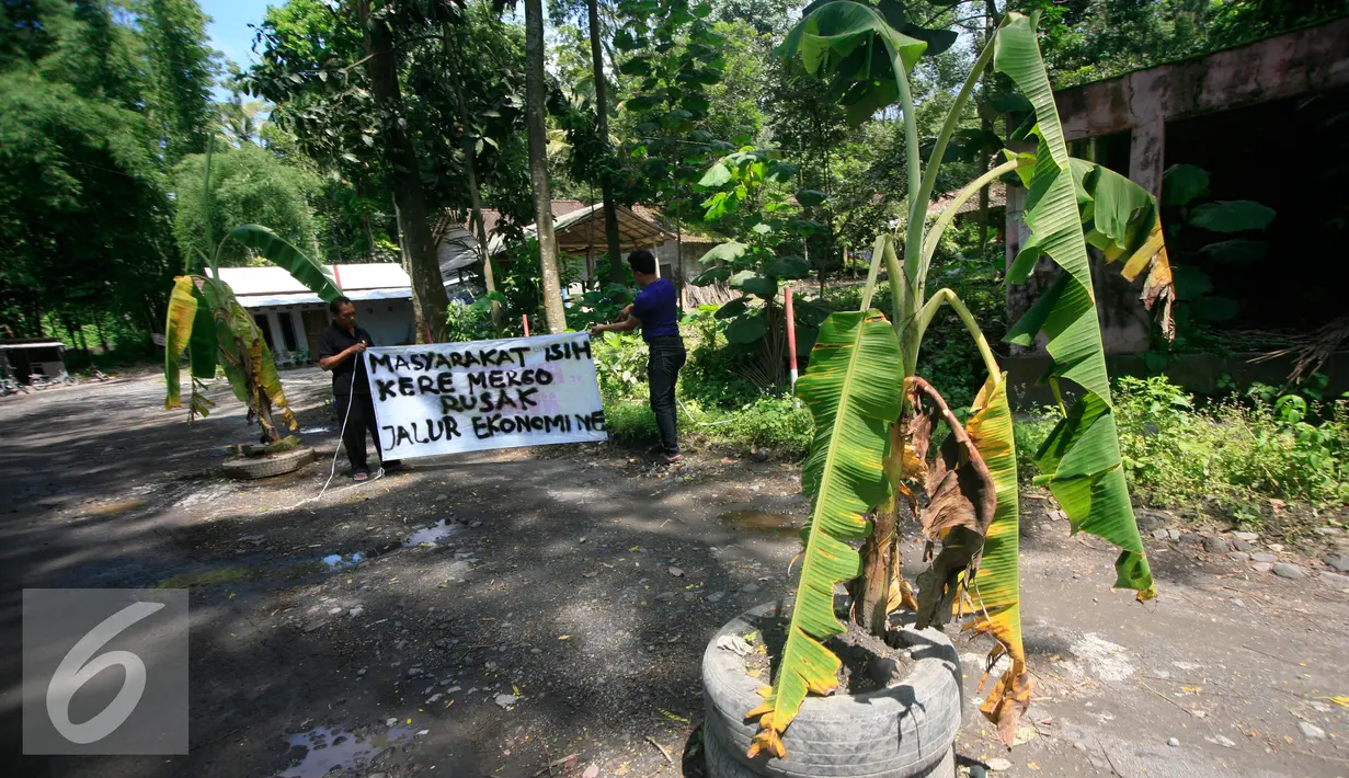 Warga memasang spaduk di jalan desa Glagahsari, Cangkringan Sleman yang di tanami sejumlah pohon, (23/2). Aksi penanaman pohon sebagai bentuk protes atas rusaknya jalan yang belum diperbaiki sejak 5 tahun letusan Merapi. (Liputan6.com/Boy Harjanto)