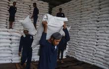 Pupuk Kujang Pastikan Stok Pupuk Indramayu Aman untuk Petani Musim Tanam Ini