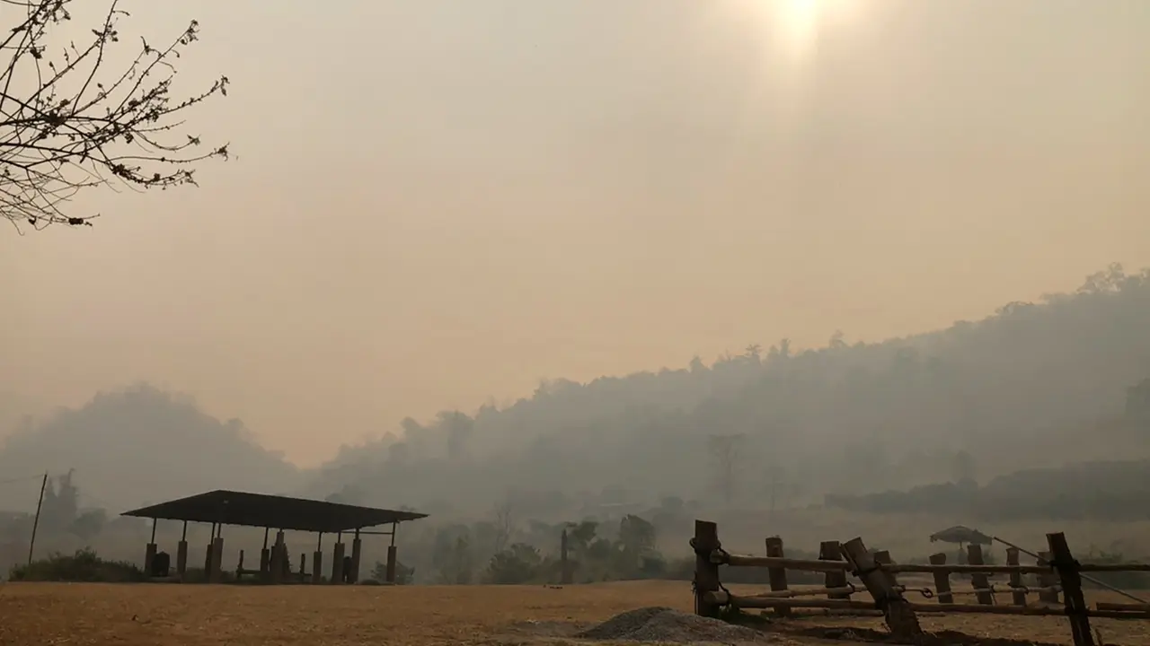 Gajah-Gajah Wisata Thailand Hidup Kelaparan Akibat COVID-19