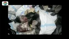 Kepolisian Pelabuhan Bakauheni, Lampung Selatan, gagalkan penyelundupan daging celeng seberat 900 kilogram yang akan dikirim ke Tangerang.