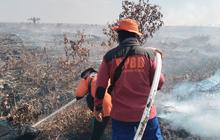 Kebakaran Hutan Meluas di Riau, Kabut Asap Pekat Sulitkan Pandangan hingga Berhembus ke Malaysia