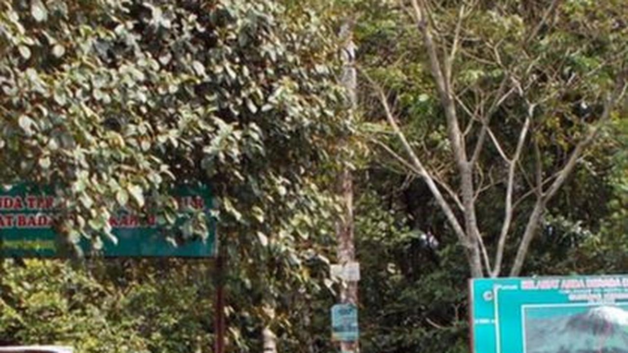 6. Pintu Rimba: Perbatasan dengan Nuansa Mistis
