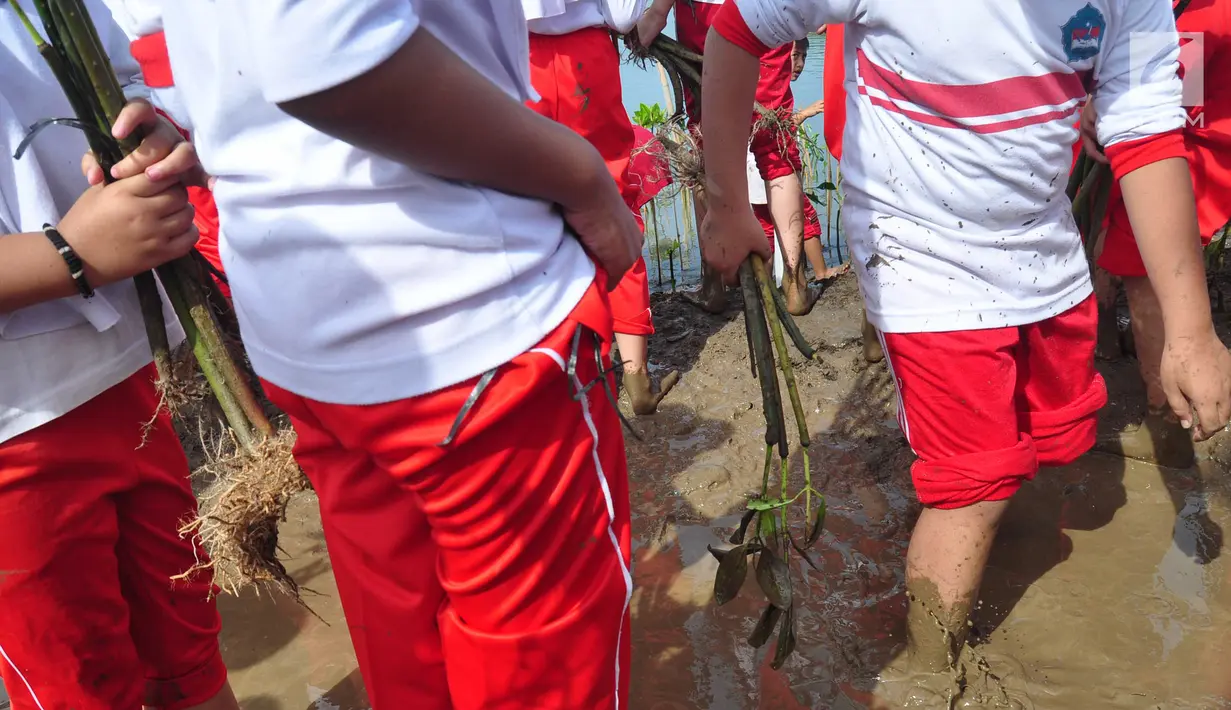 Sejumlah siswa SD Nasima Semarang menanam pohon mangrove di Teluk Pantai Mangunharjo, Mangkang, Tugu, Jumat (18/1). Data Kementerian Kehutanan, sekitar 60 persen kondisi hutan mangrove di pantai utara Pulau Jawa dalam keadaan rusak. (Liputan6.com/Gholib)
