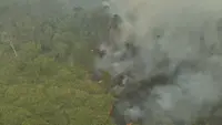 Siapa di Balik Kebakaran Hutan Way Kambas? Polisi Naikkan Kasus ke Penyidikan