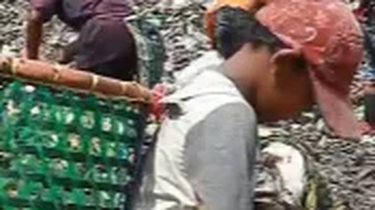 Ia sudah terbiasa membantu sang ibu untuk memulung sampah di Bantar Gebang. Namun, Aziz membantu menjadi pemulung ketika sekolah libur atau sejak Masa Pemberlakuan Sekolah Online.