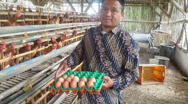 Syamsudin, 50 tahun, salah seorang peternak di daerah Kampung Bojong Awi, Desa Mekargalih, Kecamatan Tarogong Kidul, tengah memanen telur di kandangnya, Sabtu (27/8/2022). (Liputan6.com/Jayadi Supriadin)