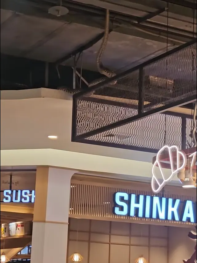 Viral Ular Menggantung di Mall Thailand