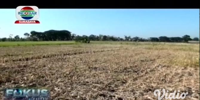 VIDEO: Gas Keluar dari Sumur di Ngawi