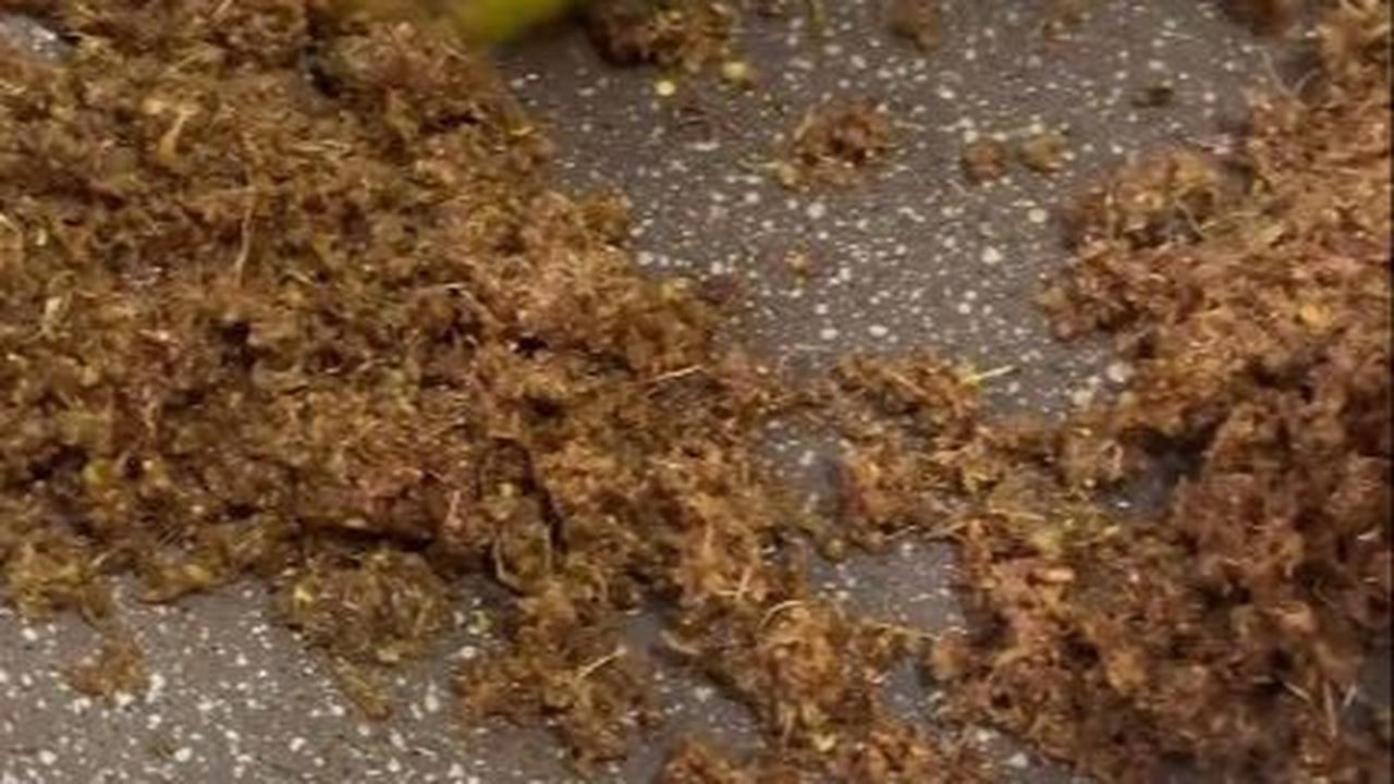 Goreng Serundeng