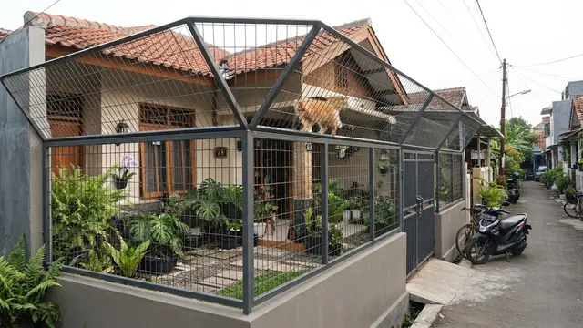 9 Desain Pagar Pekarangan yang Aman untuk Kucing agar Tidak Mudah Keluar