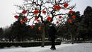 Seorang pria berjalan melewati pohon yang dihiasi dengan lentera di Taman Jingshan pada hari bersalju di Beijing pada 20 Januari 2022. Ibu Kota China diselimuti salju pada Kamis, saat hitungan mundur menuju dua minggu Olimpiade Musim Dingin Beijing 2022 dimulai. (Jade Gao / AFP)