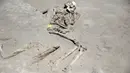 Salah satu kerangka manusia yang ditemukan di tempat pemakaman kuno Falyron Delta di Athena, Yunani, 27 Juli 2016. Setidaknya terdapat 80 kerangka di pemakaman Yunani kuno ini dengan kondisi kedua tangan diikat. (REUTERS/Alkis Konstantinidis)