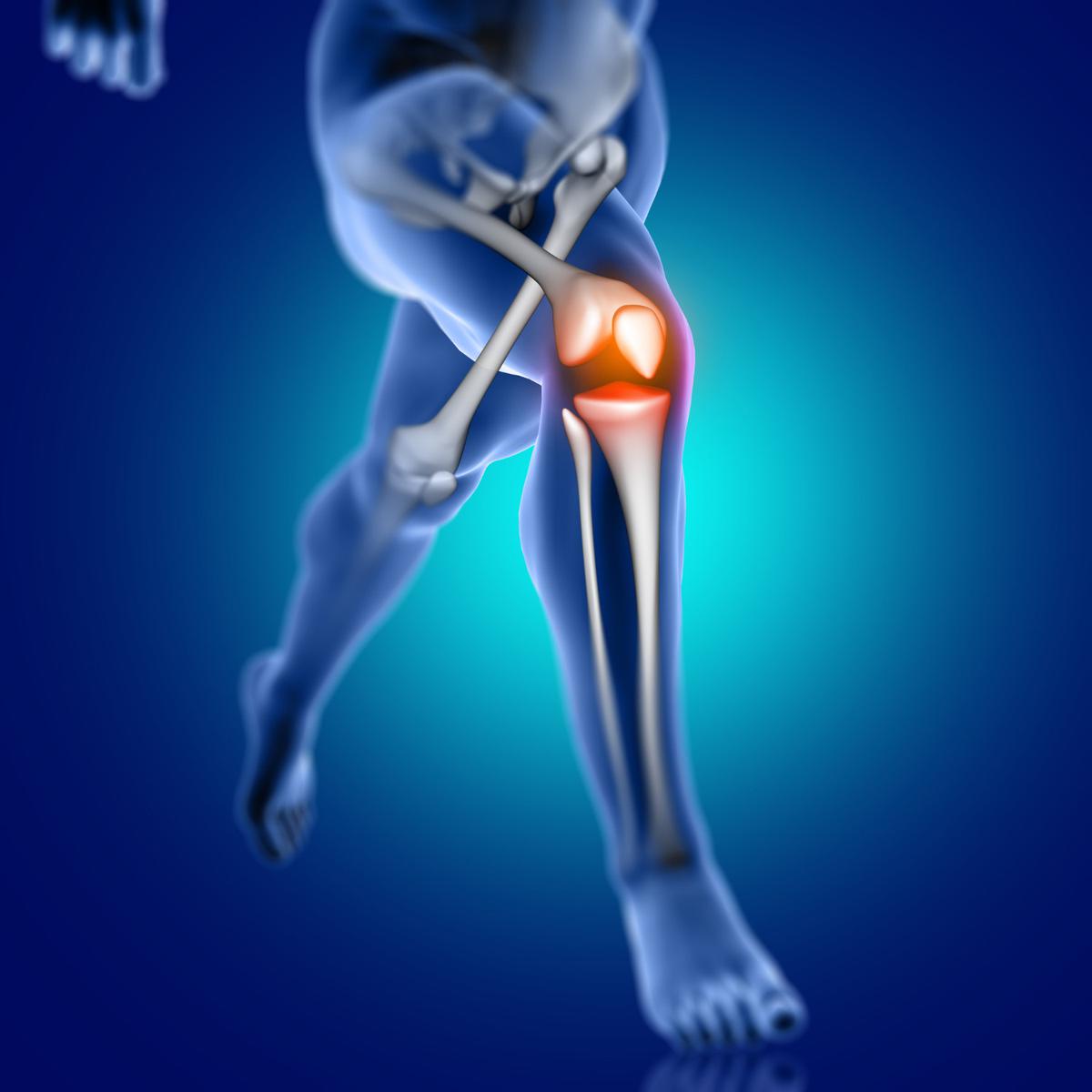 Ilustrasi Sendi Kaki