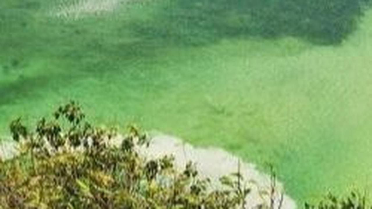 5 Fakta Pulau Sempu Malang, Pantai Kecil di Tengah Hutan yang Terlarang bagi Wisatawan
