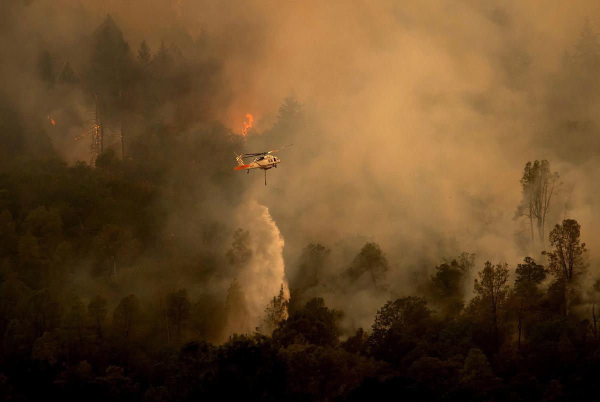 FOTO: Ngerinya Kebakaran Hutan di Napa County, Ribuan Warga California Dievakuasi