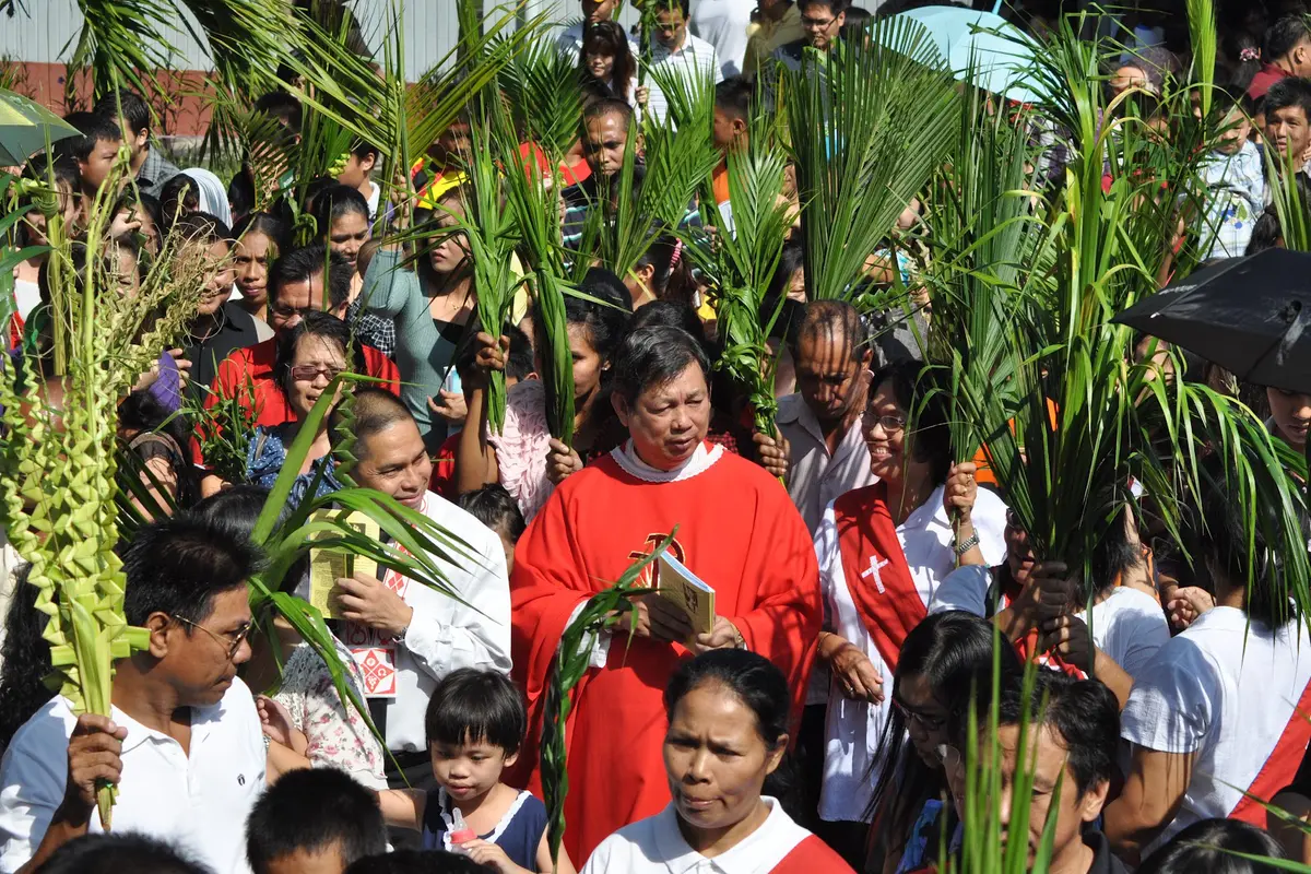 Minggu Palma, Kenapa Simbolnya Daun Palem?