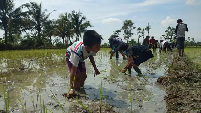 Petani Muda