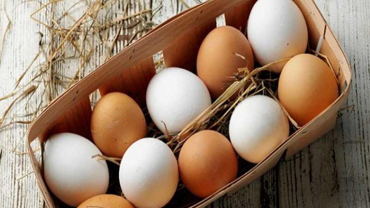 Daftar Negara dengan Harga Telur Termahal di Dunia: Siapa Paling Mahal?