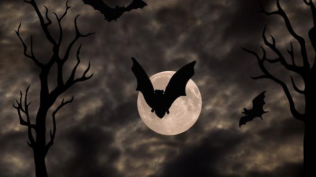 Ilustrasi kelelawar.