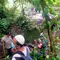 Misteri Mayat Membusuk di Hutan Lindung Pangrango