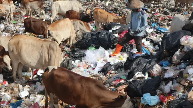 Tempat pembuangan sampah Air Dingin Kota Padang, Sumatera Barat