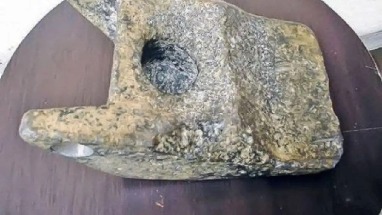 Dikira Fosil Binatang Purba, Ternyata Peninggalan Alien