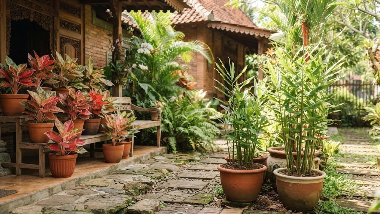 Kombinasi Tanaman Hias dan Tanaman Pangan untuk Halaman Rumah