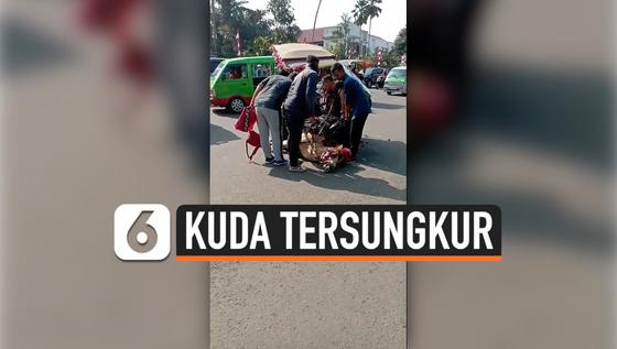 VIDEO: Diduga Kelelahan Seekor Kuda Tersungkur di Jalanan
