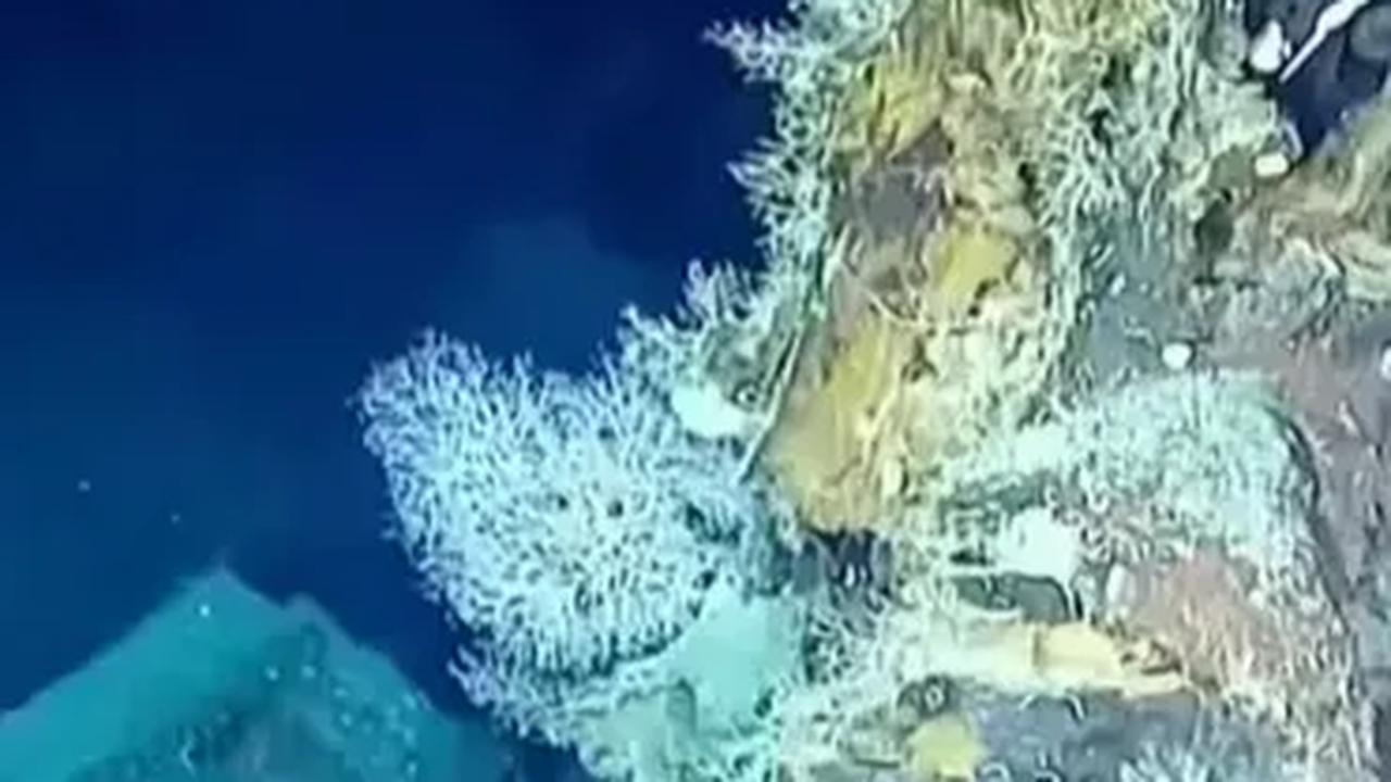 Heboh Penemuan Harta Karun di Laut Karibia Senilai Rp312 Triliun