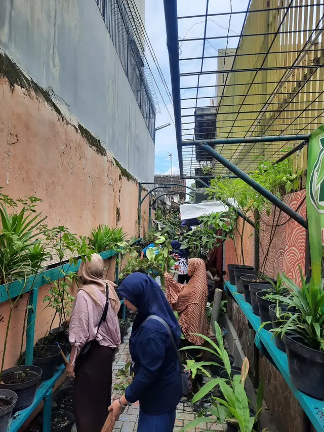 Tips Berkebun Skala Rumah Tangga ala Kampung Sayur Suryatmajan Yogyakarta