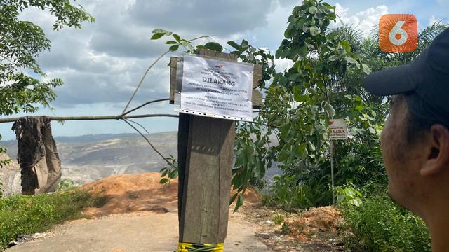 Lokasi Orang utan viral