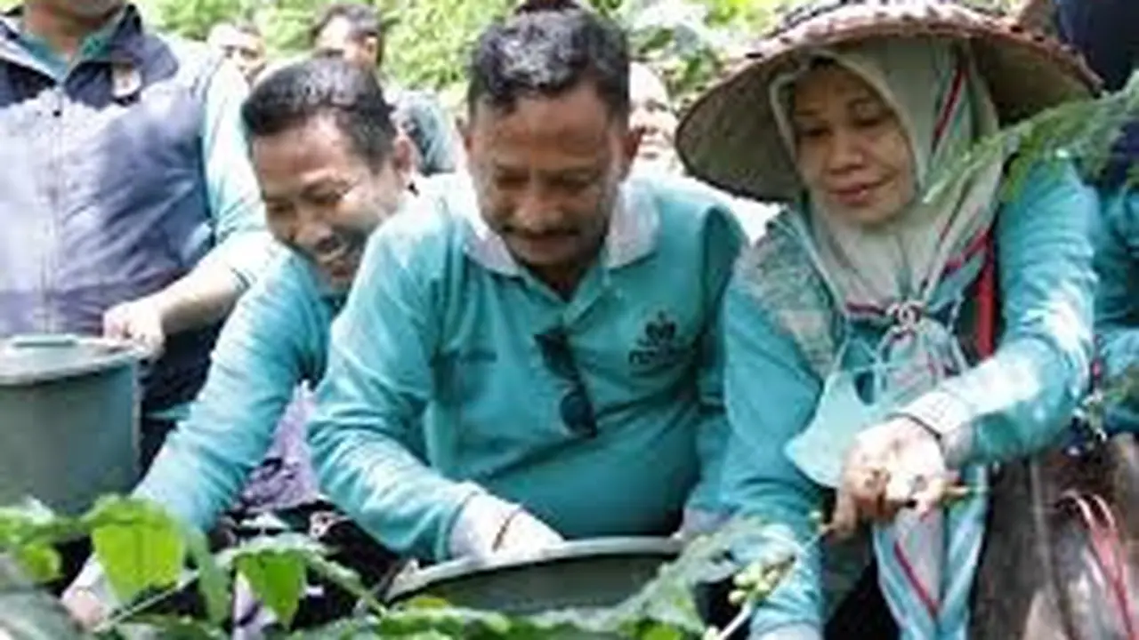 Bupati Situbondo Karna Suwandi ikut meramaikan festival petik kopi. (Istimewa).