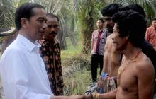 Keakraban Jokowi bertemu Suku Anak Dalam di hutan sawit