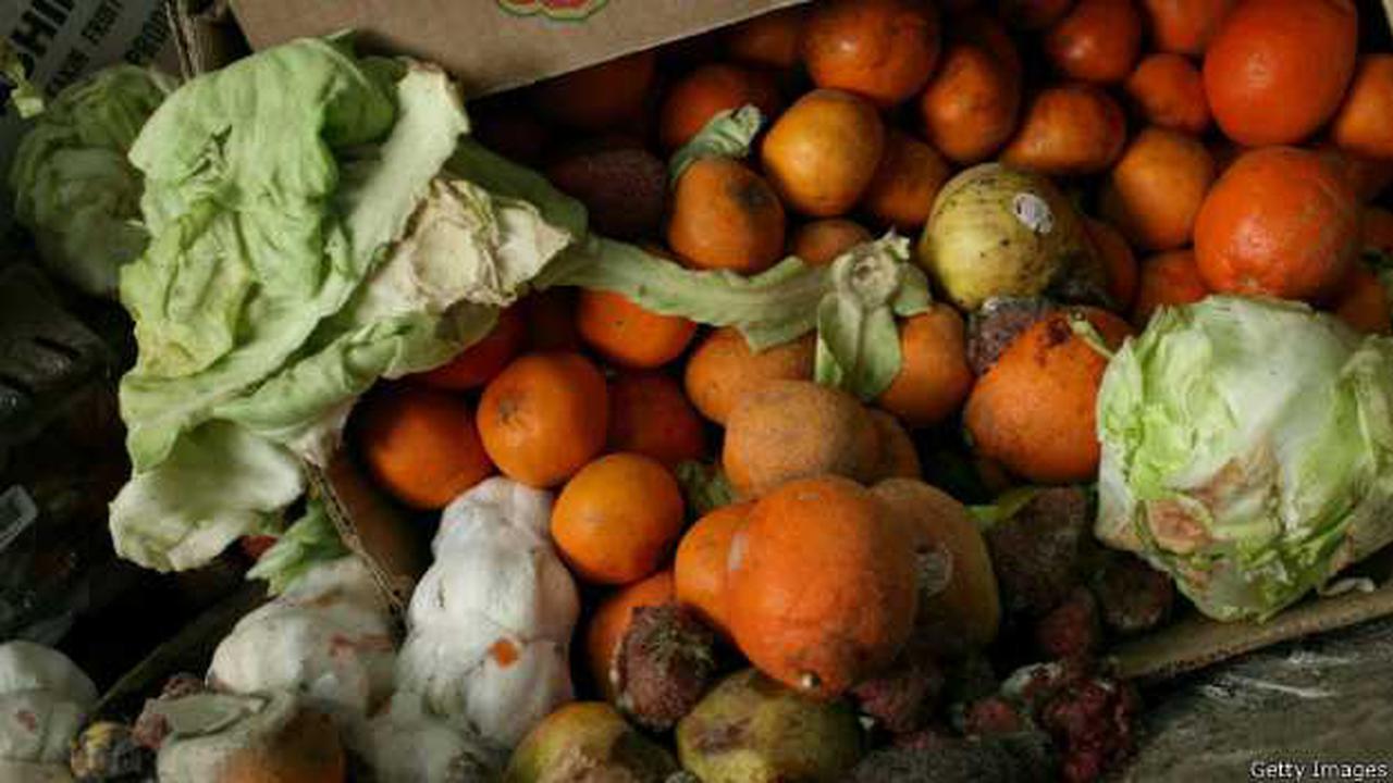 Siap-siap, Ketahuan Buang Makanan di Negara Ini Anda Didenda