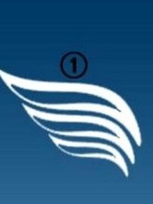 Tes Kepribadian, Pilih Satu Gambar Sayap Ini Dapat Ungkap Jati Diri