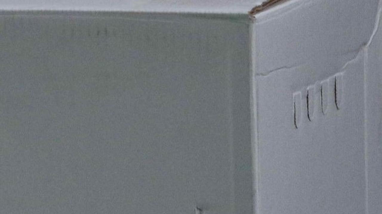 Diduga Dapat Tekanan dari Pemantau, Petugas KPPS di Garut Masuk Rumah Sakit Jiwa