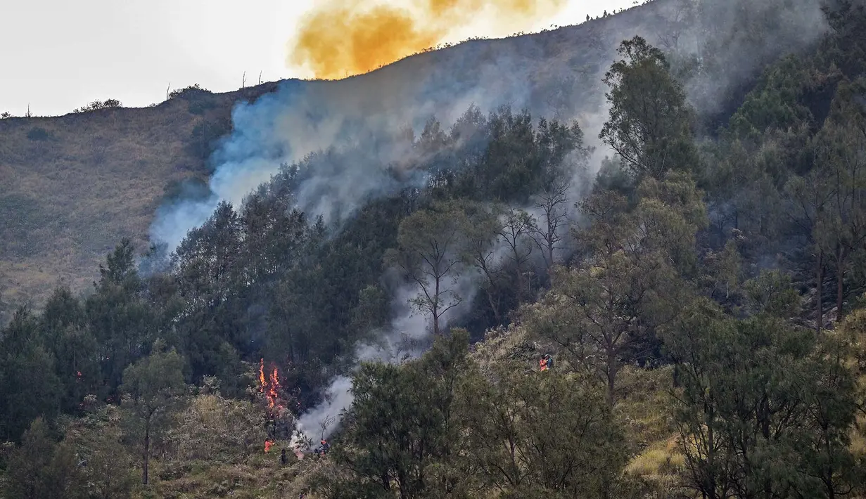 Asap membubung dari kebakaran hutan di Taman Nasional Bromo Tengger Semeru dekat Gunung Bromo di Pasuruan, Provinsi Jawa Timur, Senin, 10 Agustus 2026. (AFP/ Juni Kriswanto)
