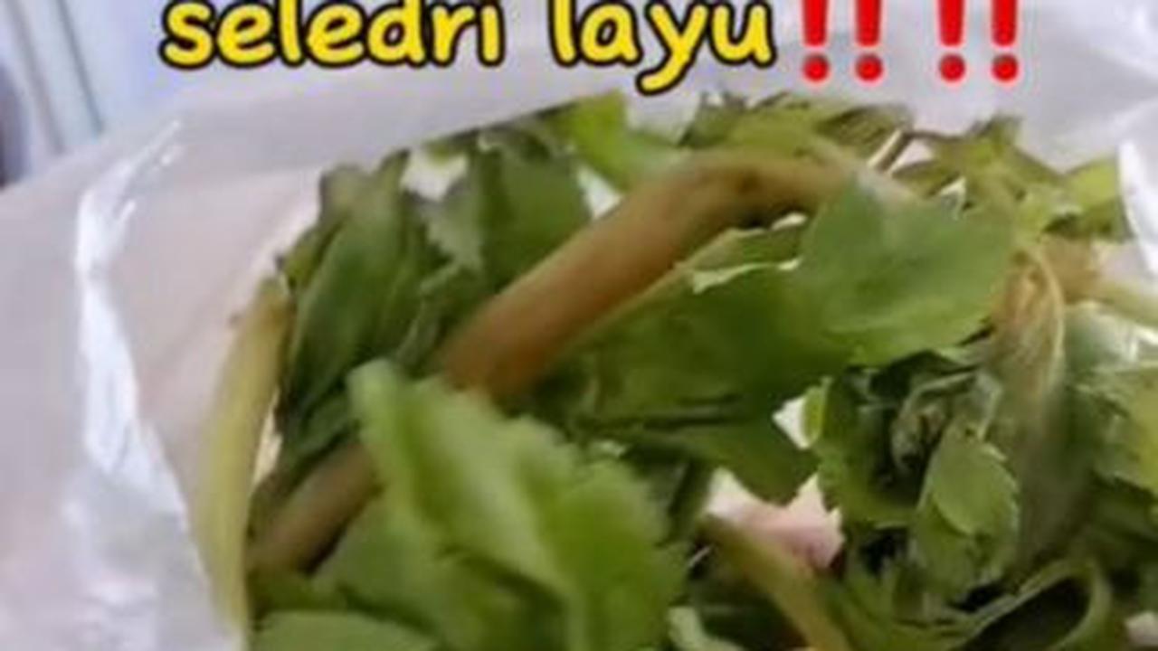 Jangan Buang Seledri yang Layu