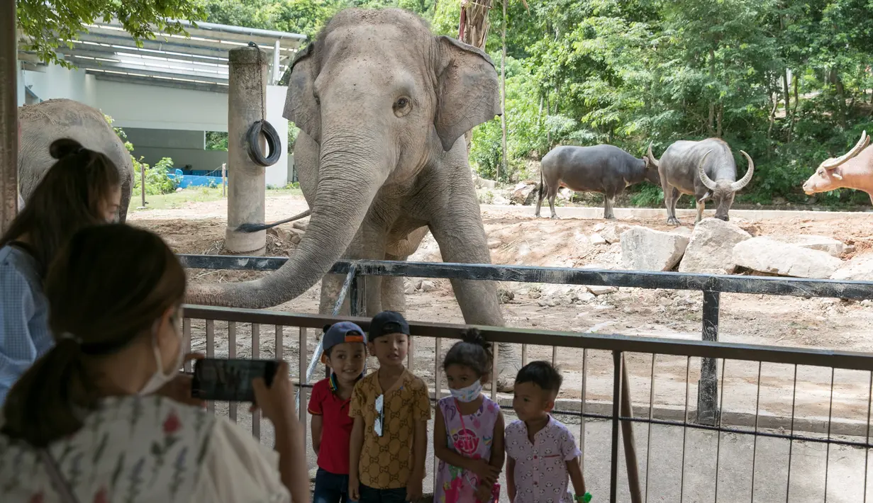 Anak-anak berpose bersama seekor gajah di Khao Kheow Open Zoo, Provinsi Chonburi, Thailand, Selasa (16/6/2020. Enam kebun binatang di Thailand akan kembali dibuka bagi pengunjung secara gratis mulai 15 hingga 30 Juni. (Xinhua/Zhang Keren)
